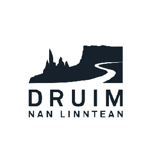 Logo 60